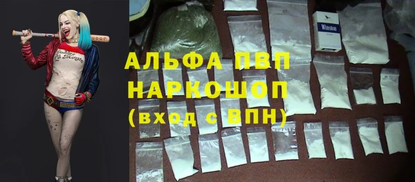молекула духа Белоозёрский