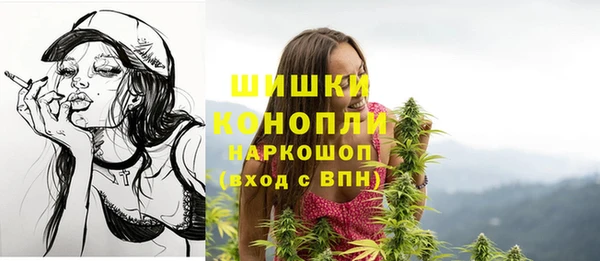 молекула духа Белоозёрский